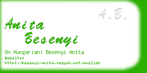 anita besenyi business card